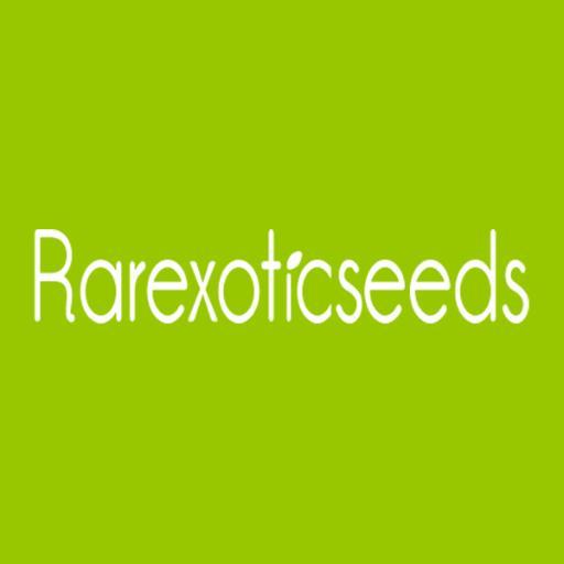 @Rarexoticseeds is a world leader store specialized in seeds & garden.
We have rare and exotic seeds carnivorous plants medicinal plants bonsai seeds & more...
