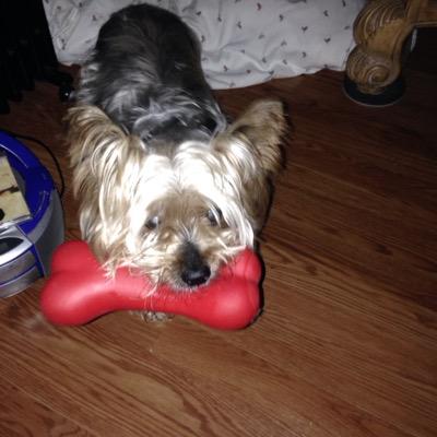 I’m a Christian, pro-life, married to Kathy for 42 years. Love dogs, especially Yorkies. OleMiss! Miami Dolphins!No DMs unless I know you. Trump =last chance!