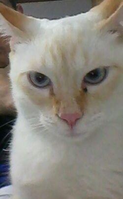 DoPipoco's profile picture. Pipo..........teca