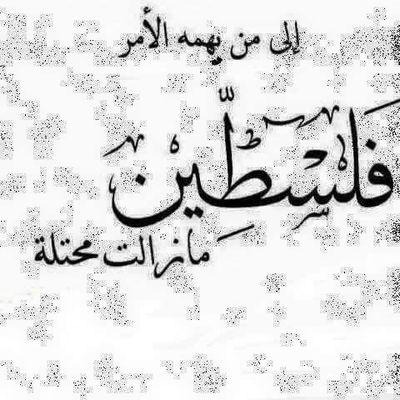 hallyvip's profile picture. home renovation consulting