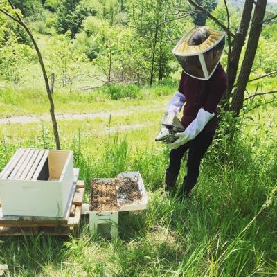 KelseyRipper's profile picture. Living/exploring in the #Pittsburgh area. Im new to the Beeks, I like speaking French badly, relaxing & laughing w/ family & friends. C'est moi Ooo lala!