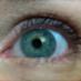 Cricket (@cricket_71) Twitter profile photo Cricket (@cricket_71) Twitter profile photo