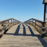 Isabel García (@isabelgruiz) 's Twitter Profile