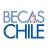 becaschile