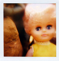 babettelafox's profile picture. brooklyn girl goes to seattle to get a green mba.