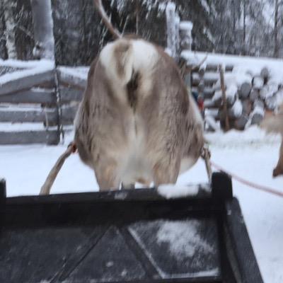 GilesHeseltine's profile picture. 