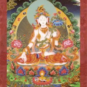 titchpoo's profile picture. I was a singer years ago northern soul fan& John Newman Fan