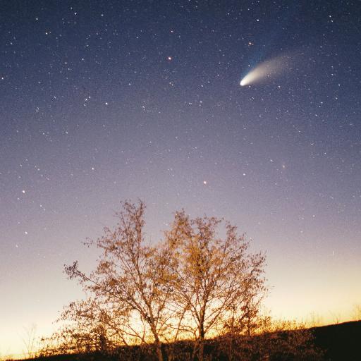 serment9290's profile picture. 