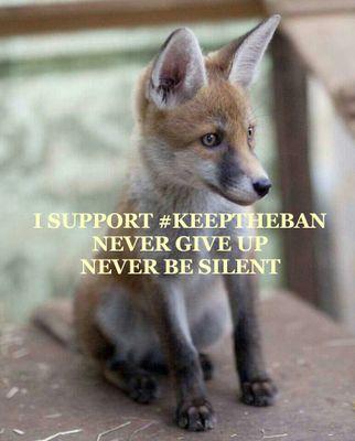 please follow me here! @peteswildlife #peteswildlife.