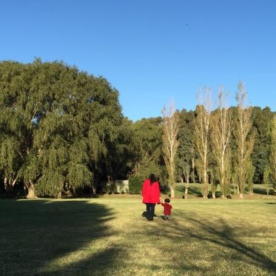 candeirazo's profile picture. 