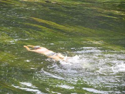 AENowakowski's profile picture. 🇵🇱