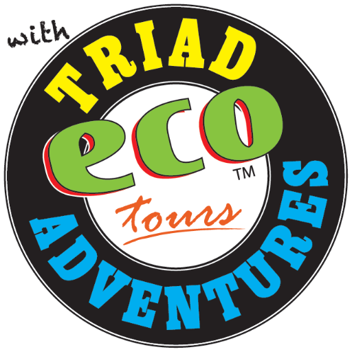Triad ECO Adventures / Triad TROLLEYS