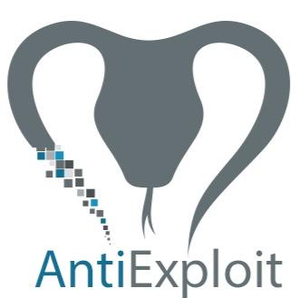 Cyber Security Startup Secure@antiexploits.com