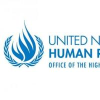 HumanRightsWATCH(@UNHumanright) 's Twitter Profileg