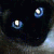 Clarence Bentley - @deliquoxa - Twitter