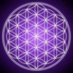 stromennaarheel's profile picture. 