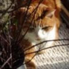 wandaleeshaw's profile picture. Living the dream in beautiful Parkland County, Alberta!