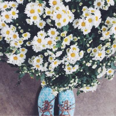 noraali97's profile picture. 