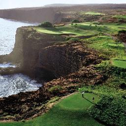 Bigcat9569's profile picture. 