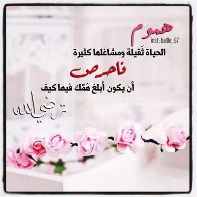 إجازة في الشريعة
(خبير في النباتات الطبية وإستعمالاتها33 عاما)