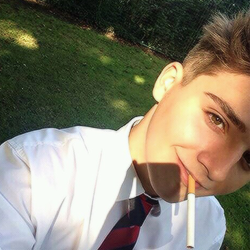 aribovx's profile picture. 