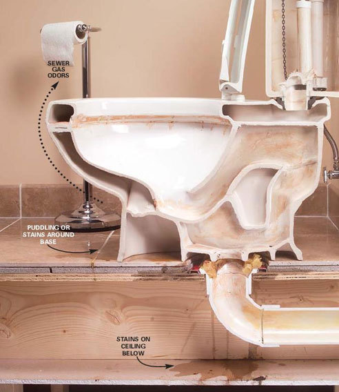 thepooblog's profile picture. Follow the 2010 Poo Blog! You'll never look back! Please note: the links are to pictures of my poo, so bear that in mind when clicking :)