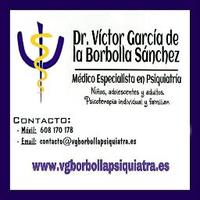 Dr Gª de la Borbolla (@vgborbollapsiq) 's Twitter Profile