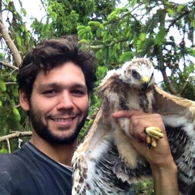 Part of a 🔎 project on Red kites @Vogelwarte_scie 🇨🇭(BE/FR) and #Honeybuzzard 🦅. moved to Bluesky: @vs.vanbergen.bsky.social.
