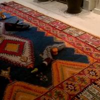 karl marlowe (@karlmarlowe) 's Twitter Profile