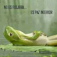 vegozo's profile picture. Piloto de aves especiales, jugador de futbol-in, runner de bicis sin pedales y sé todo lo k pasa en las RRSS de Vegas del Genil.