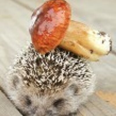bananadekuyper's profile image