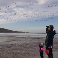 davidwood (@davidwoodislay) 's Twitter Profile