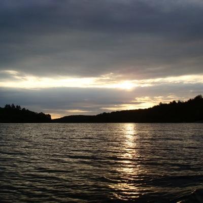 maintaining optimism — Swamp Warrior — GPDU. tweets are not medical advice. call your GP! #FollowMedicalWomen #QuoteHer