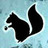 pakka's profile image