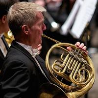 Paul Austin (@horncallad) 's Twitter Profile Photo