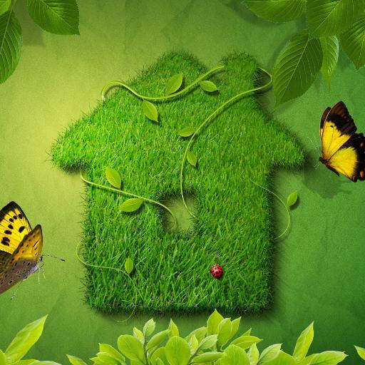 Dragonzal's profile picture. Self-taught front-end developer