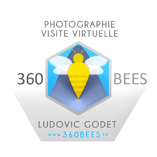 360Bees's profile picture. Ludovic Godet Photographe Pro. Pub & Com des entreprises. Actu Médias VR & référencement local. Cardboard Evangelist.