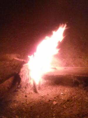 firejelly40 Profile