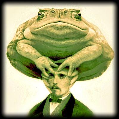 StatcToad Profile Picture