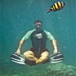 BillolearyBillo's profile picture. 