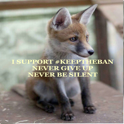 Love wildlife,Stop the badger cull,#keeptheban Don't go backwards and bring hunting back,strengthen the hunting ban.  https://t.co/eRizF6y86j