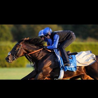 daraghdj's profile picture. Professional Jockey, newmarket & dubai dublin Godolphin