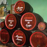 Tabanco El Pasaje -Vinos y Flamenco en Jerez- (@tabancoelpasaje) 's Twitter Profile
