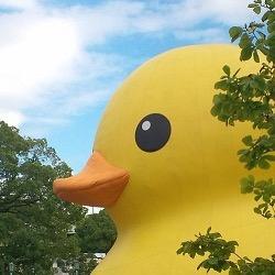 yoichi22's profile picture. I can't drink so much.