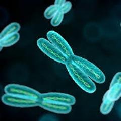 DNACentre1's profile picture. DNA Center is a full-service DNA testing company offering a wide range of DNA paternity and family relationship, forensic DNA and animal DNA testing services.