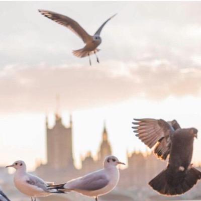 entsaar51's profile picture. 💕💕