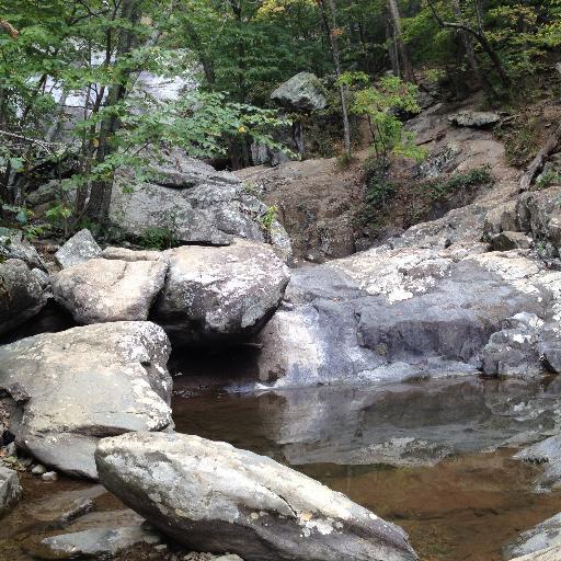 OldRag's profile picture. #IAM One of Virginia's Finest Destinations 🇺🇸 #OldRag #OldRagMtn
A wise old ragged mountain .. #ISpeakForTrees #ForBears And #CyberSecurity #AntiCult