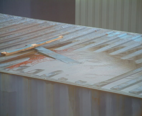 Chirrel's profile picture. I trap small kips of life in words.