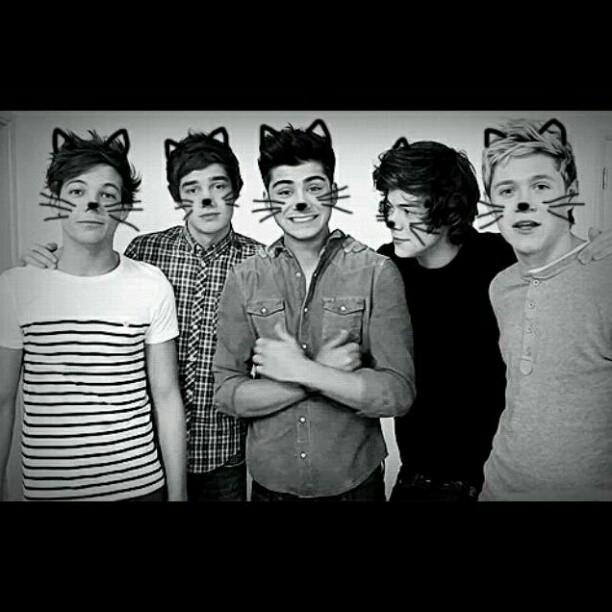 trystans93's profile picture. Education is what survives when what has been learned has been forgotten.