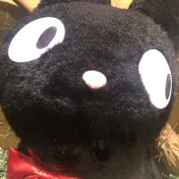 はっと (@ktm_ninja) 's Twitter Profile